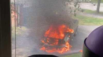 Today In My Neighbor's Driveway.