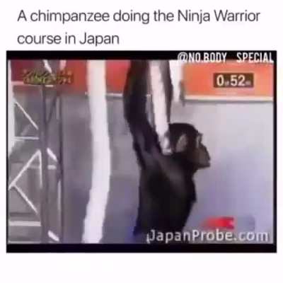ninja monke