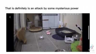 Just a slight overreaction