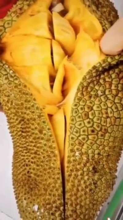 Opening a Jackfruit
