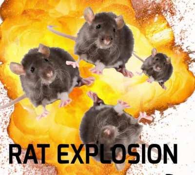 I made this on my phone in like 30 minutes, please enjoy