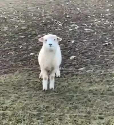 Did you take the picture? Do I look good