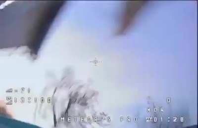 Cat attacks Ukraine drone