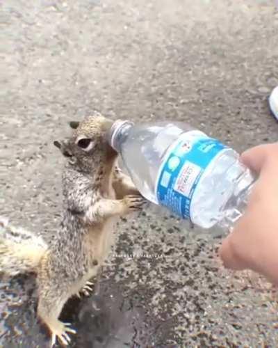 How Cute : Made my day