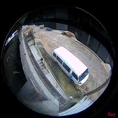 el caniche menos rompe bolas: