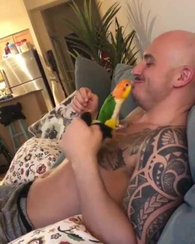 A Jealous lovebIRB GEts FeD UP and SNaPs