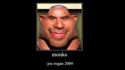 joe rogan on monke