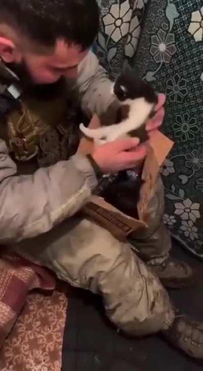 Soldiers rescued little kittens on the frontline. Now they will be taken care of and give our defenders their warmth in return