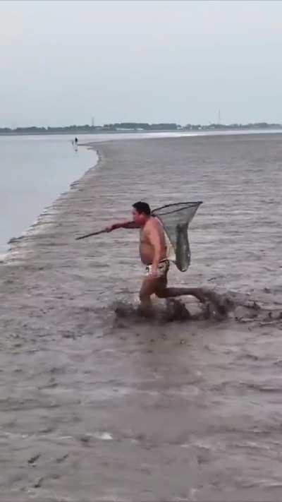 What optical illusion is this 😵‍💫