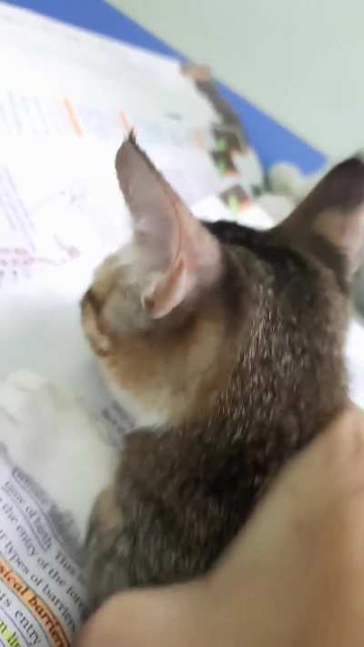 Bro is AIR 1 already tumlog AIR 2 ki prep karo