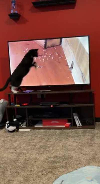 He a little confused, but he got the spirit.