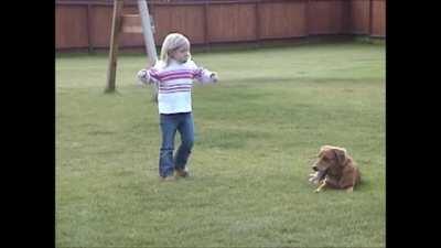 Dog knocks down child and almost gets payback