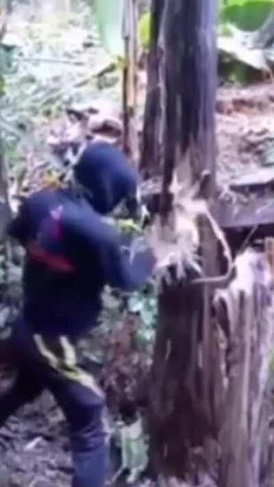 When the druid pisses off the monk