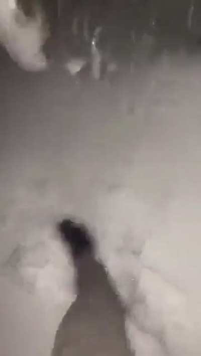 My shoe people need me