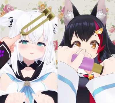 The FubuMio grooming shorts are cuteness levels off the charts. COVER really knows how to deliver on the FubuMio teetee 🦊❤🐺