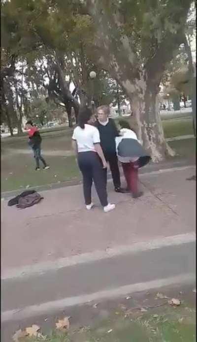 Dos chicas se pelearon a trompadas en una plaza y una mujer las separó a los cachetazos, sucedió en Entre Ríos