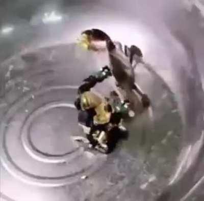 Moldy Rules of Nature