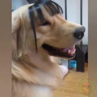 Девушка, извините...