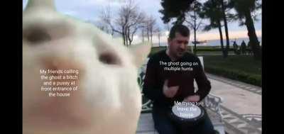 Why did I buy this game