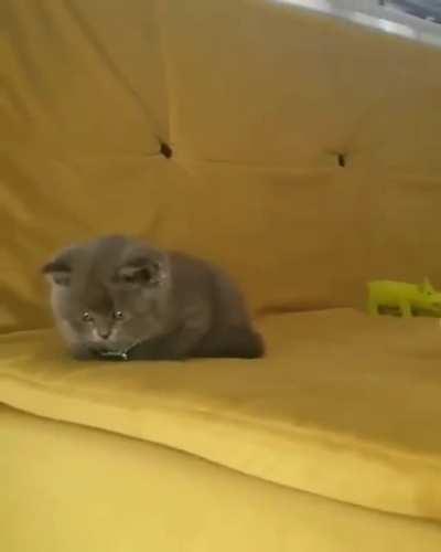 A new beginning of Friendship!!