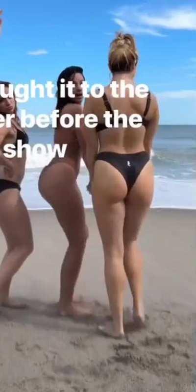 Anneliese van der Pol