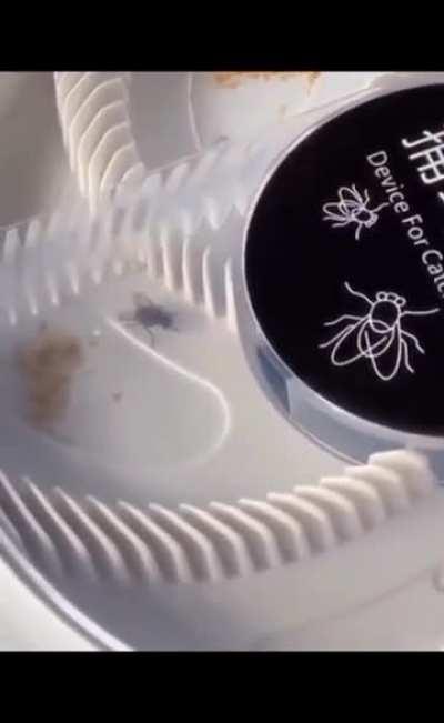 bro got backstabbed 💀💀💀