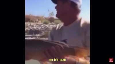 It used to be a carp.