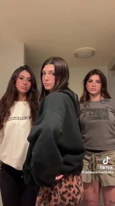 this new tiktok trend