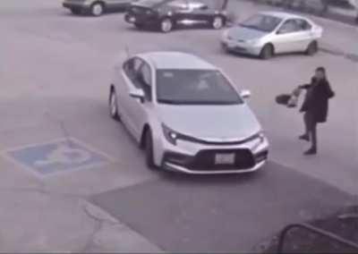 Trying to escape from an angry goose by getting into a car