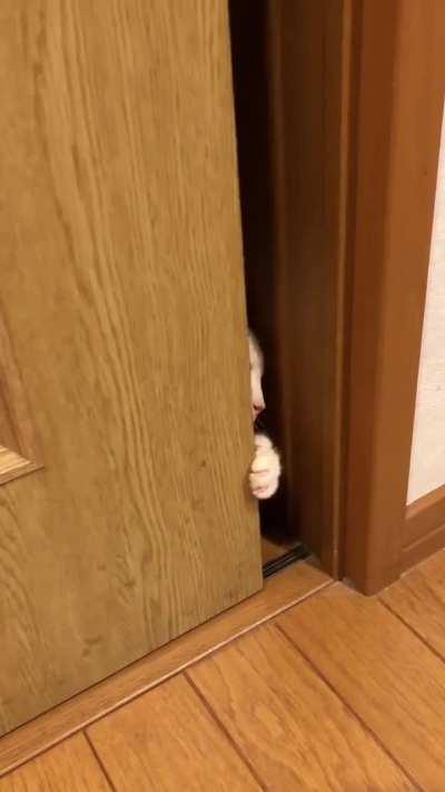 in the evening when I go to brush my teeth before going to bed, I see this