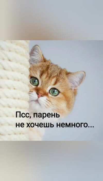 Антистресс