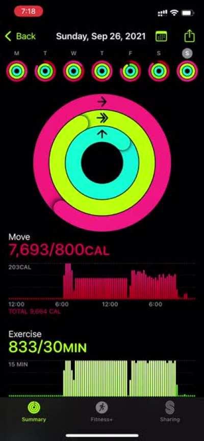 I did a full Ironman Triathlon yesterday. Never seen a rings animation like this.