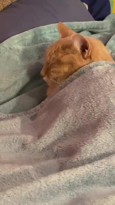 Someone’s looking awful cozy…💙