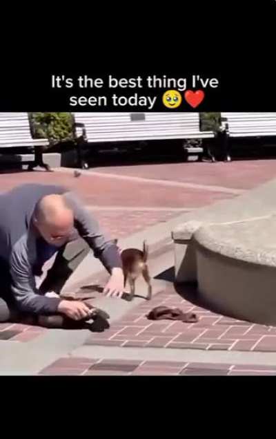 Man lets his duck go for a swim