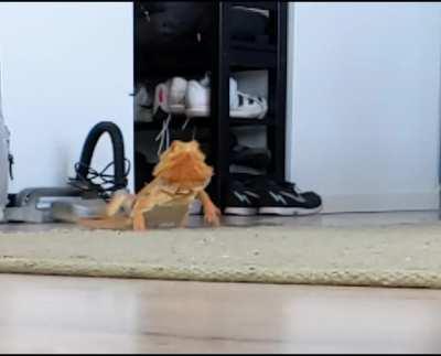 New speed record with a perfectly timed sliding