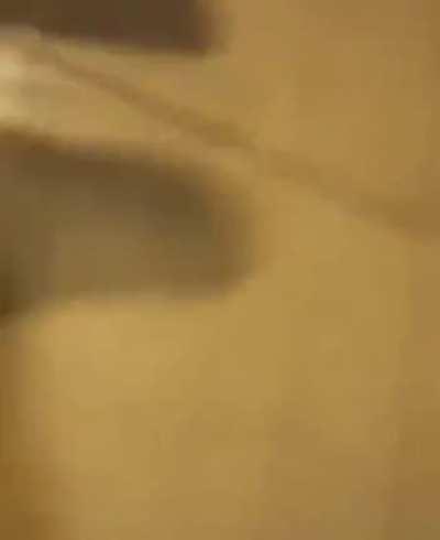 John Oliver during quarantine