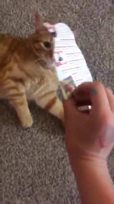 I am so done with photos of myself