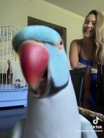 The love exuding from this bird ❤️