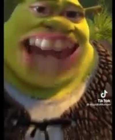 Shrek 5 (not clickbait)