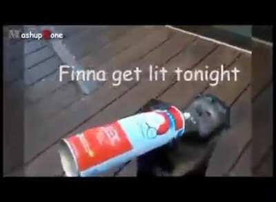 Even though Poopie pie banned us, it’s still Fonky Monky Friday