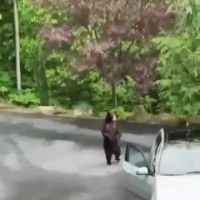 F*cking with the Mercedes