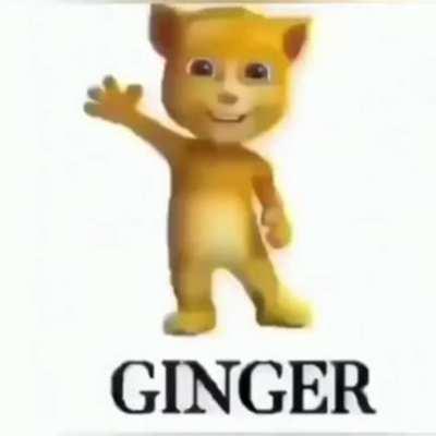 Ginger 