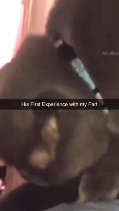 Dude just lost his soul