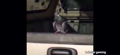 I’m 15 and this is yeet