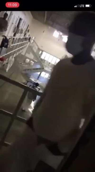 These not inmates these sun Vampmates