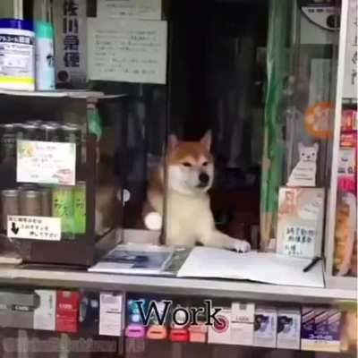 this video is so whiolesome