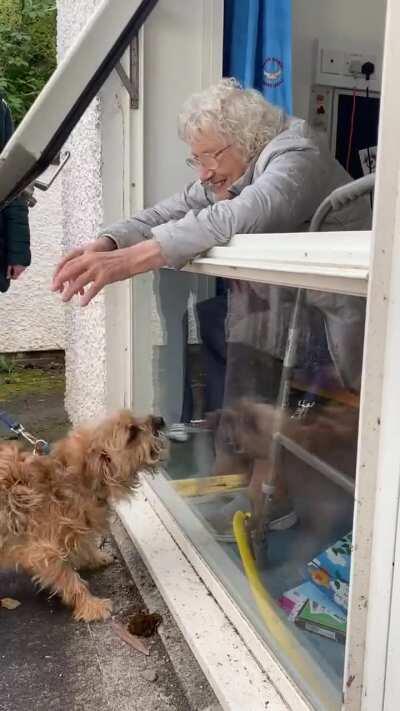My nan fell and broke her hip 3 weeks ago. Today is her 87th birthday and the first time her and her dog have seen each other since the fall.