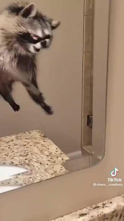 Cursed_ raccoon puppet thing