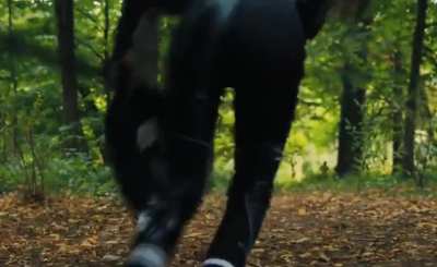 Jenna in Catsuit Wednesday [2022]