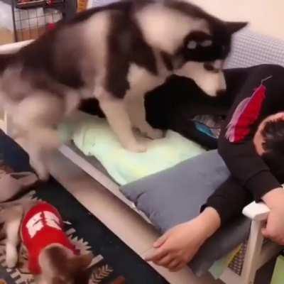 Little one, it’s daddy’s turn!